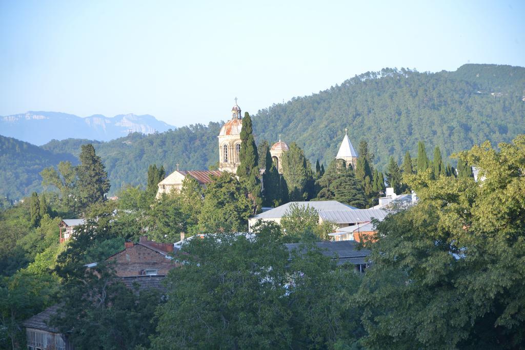 Hotel Imperator Palace Kutaisi Bilik gambar